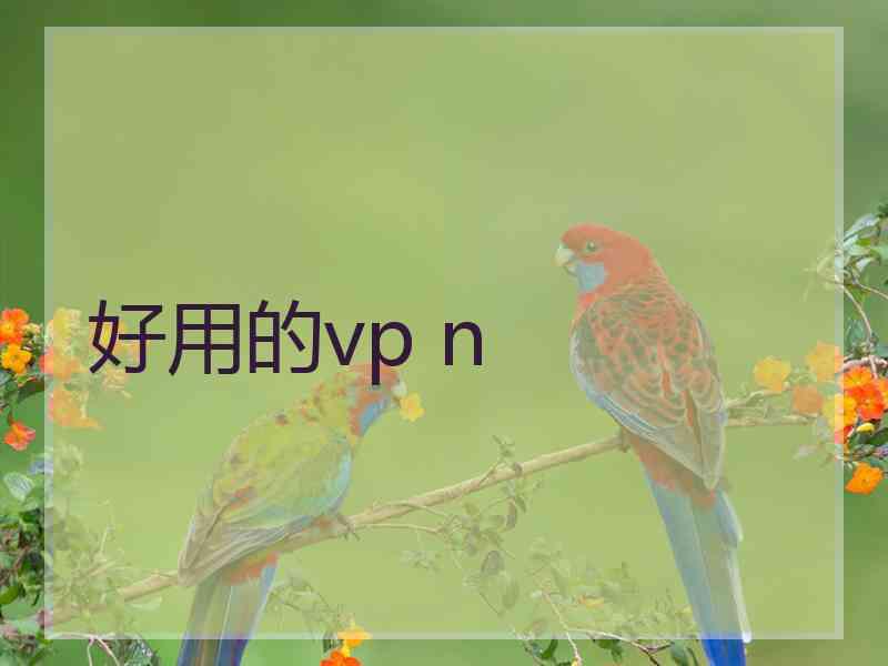 好用的vp n