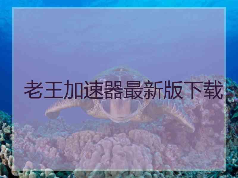 老王加速器最新版下载
