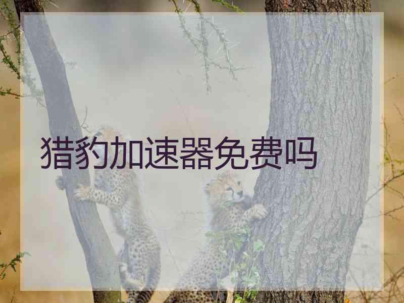 猎豹加速器免费吗