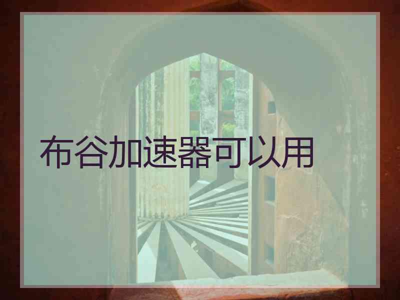 布谷加速器可以用