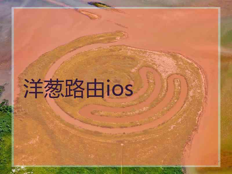洋葱路由ios