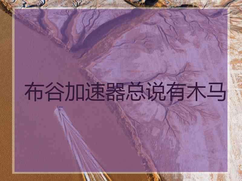 布谷加速器总说有木马