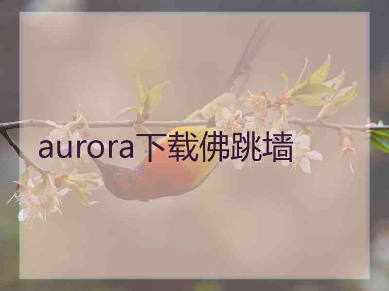 aurora下载佛跳墙