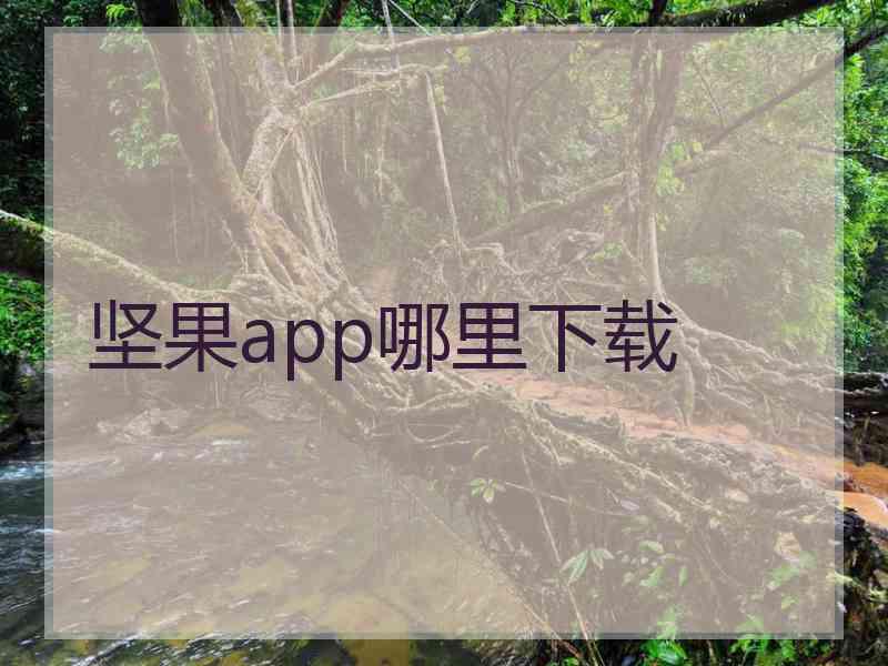 坚果app哪里下载