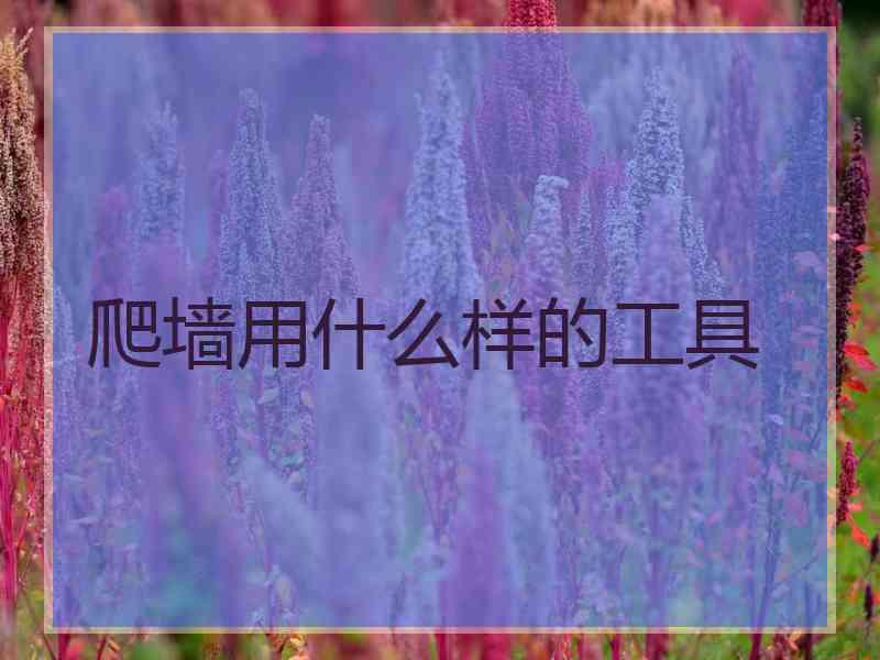 爬墙用什么样的工具
