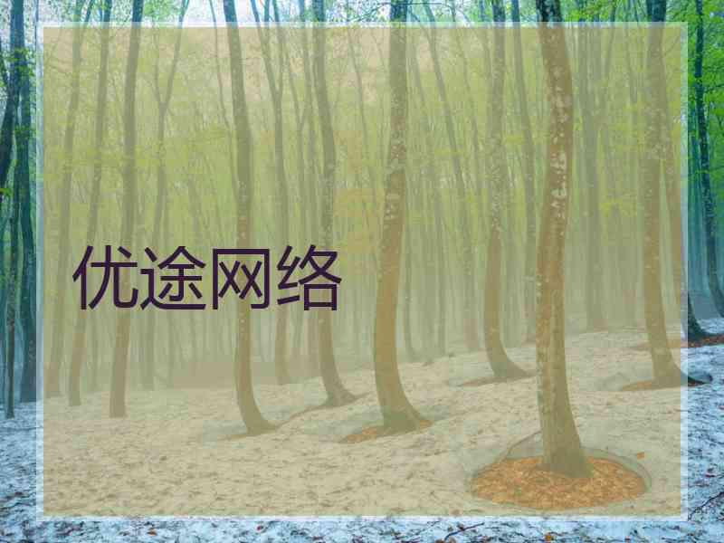 优途网络