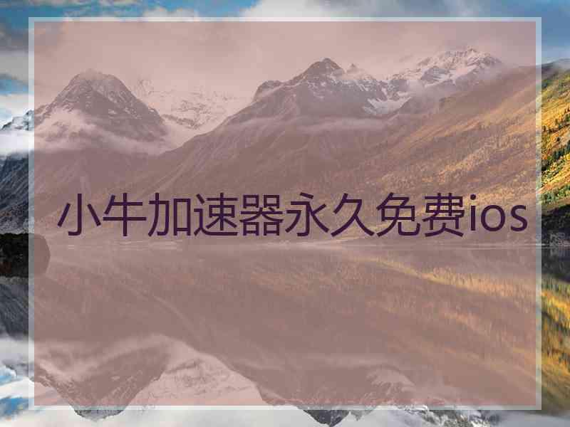小牛加速器永久免费ios