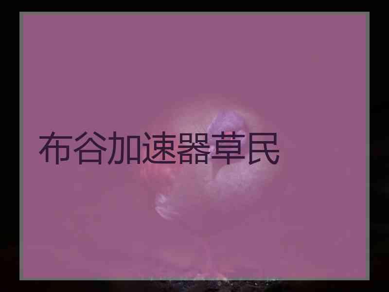 布谷加速器草民