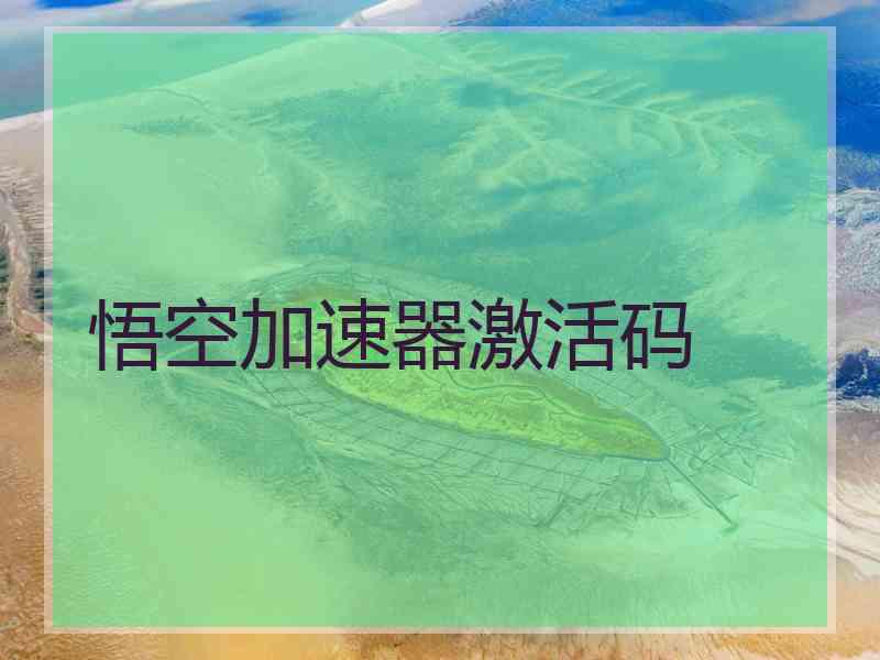 悟空加速器激活码