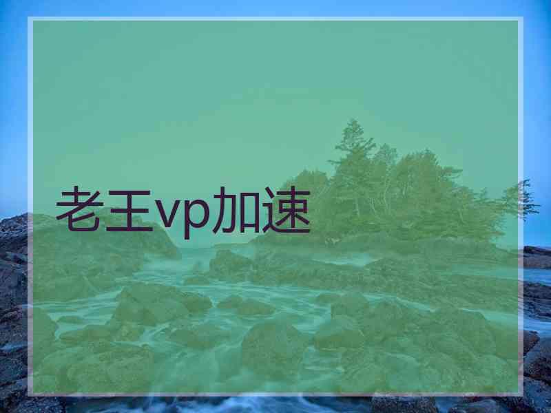 老王vp加速