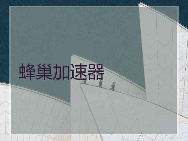 蜂巢加速器