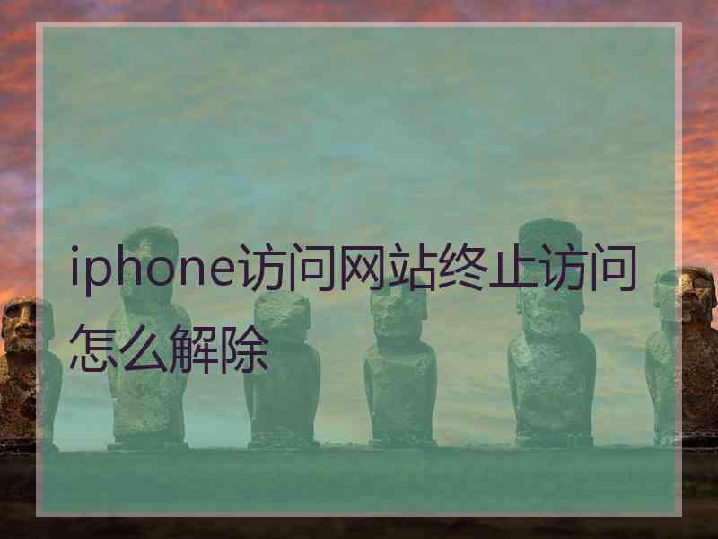 iphone访问网站终止访问怎么解除