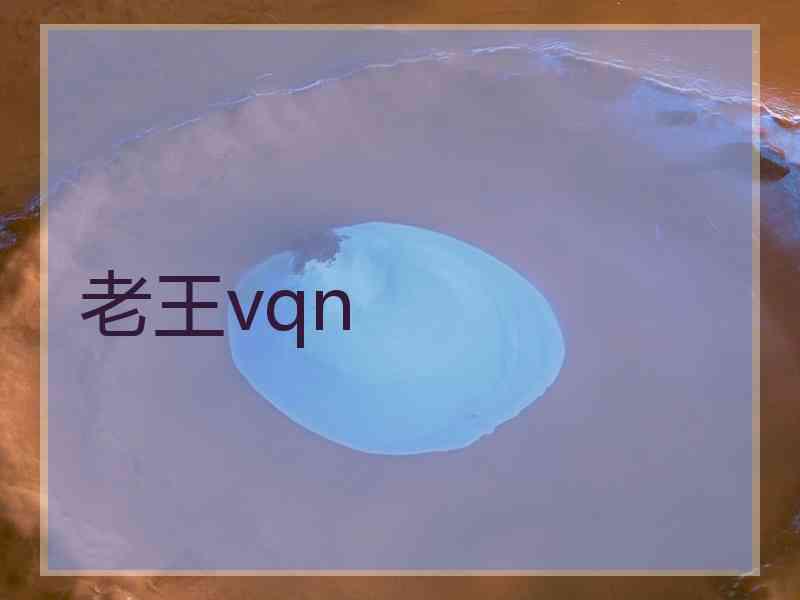 老王vqn