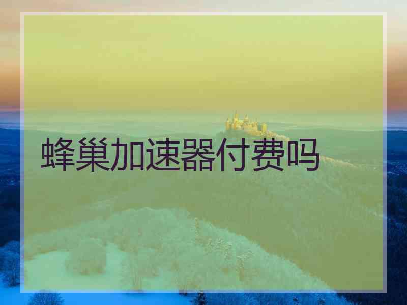 蜂巢加速器付费吗