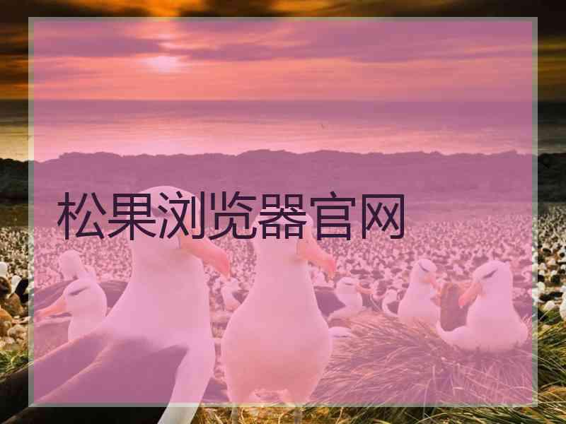 松果浏览器官网