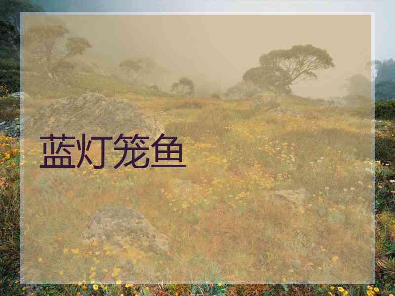 蓝灯笼鱼