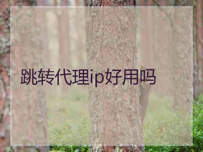 跳转代理ip好用吗