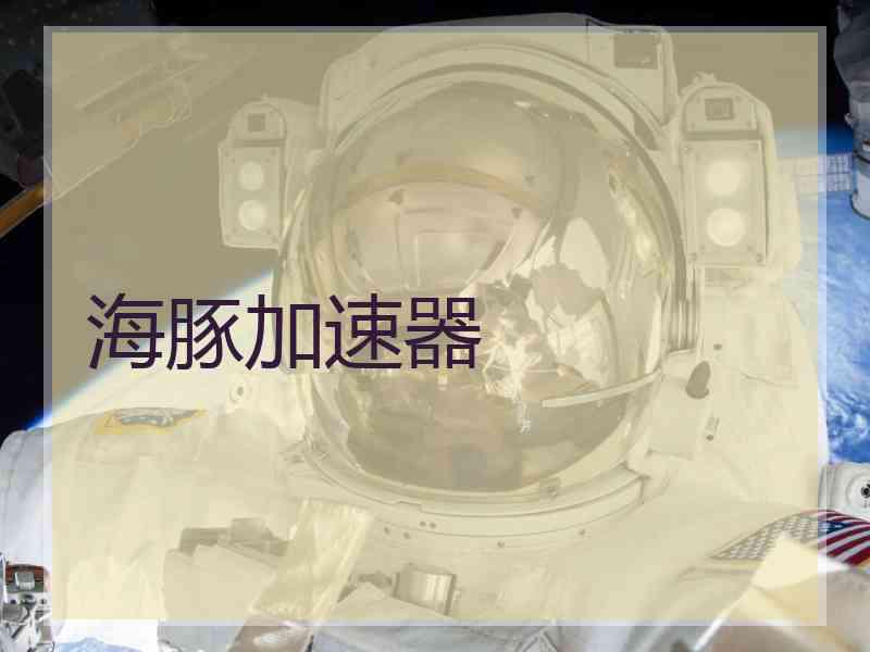 海豚加速器