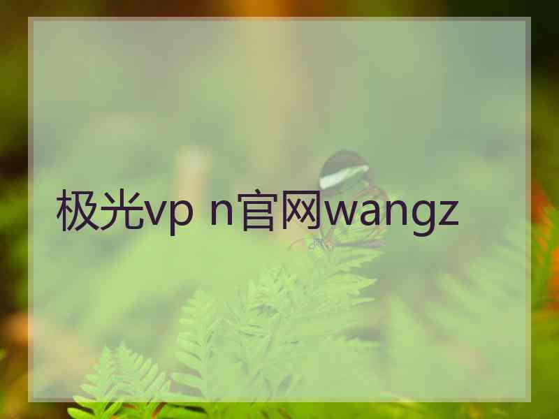 极光vp n官网wangz