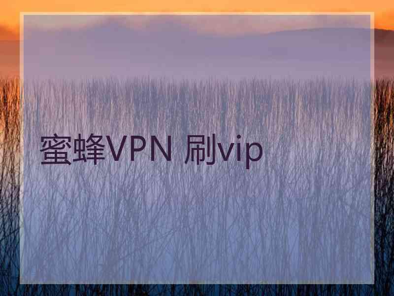 蜜蜂VPN 刷vip