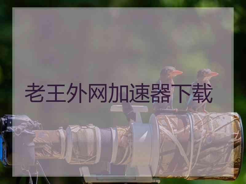 老王外网加速器下载