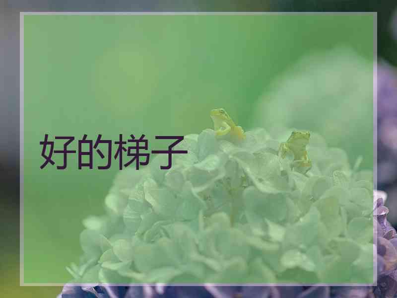 好的梯子