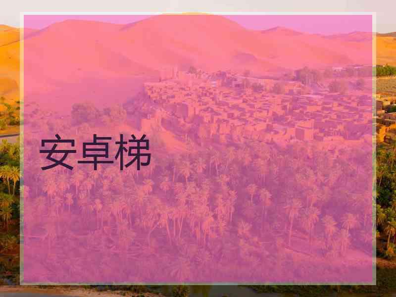 安卓梯