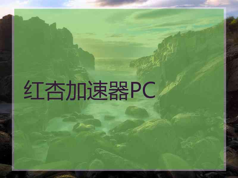 红杏加速器PC