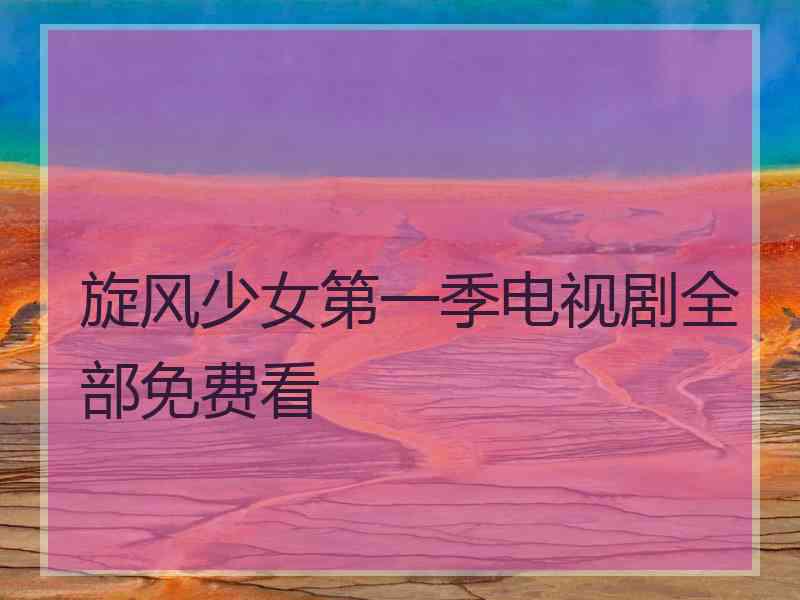旋风少女第一季电视剧全部免费看