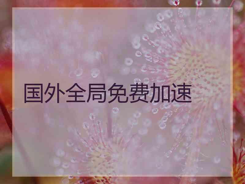 国外全局免费加速