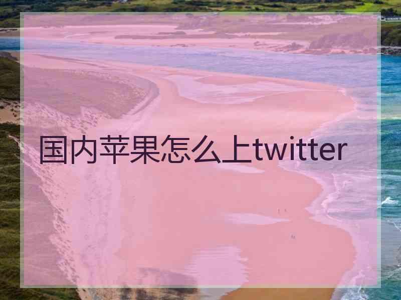 国内苹果怎么上twitter