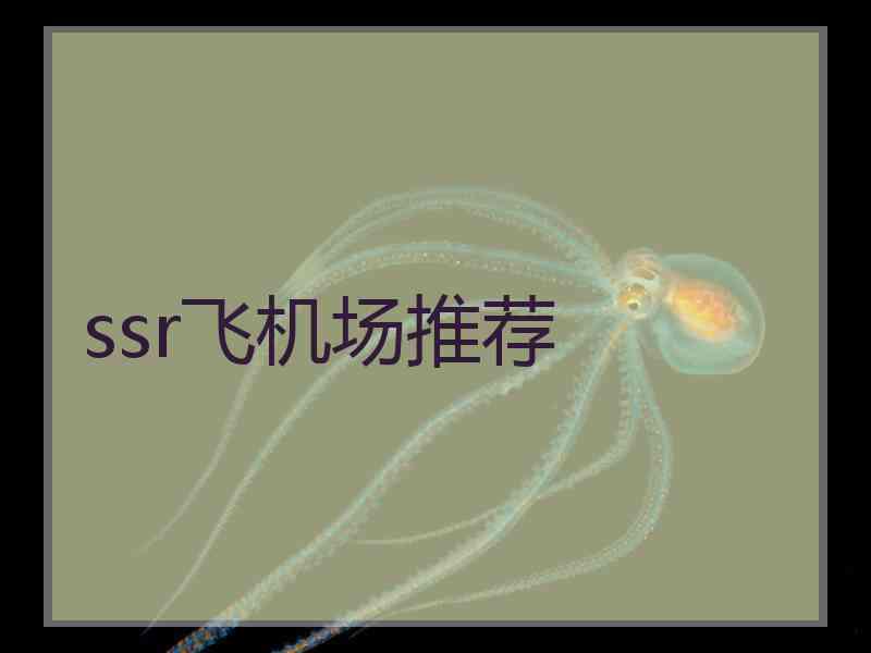 ssr飞机场推荐