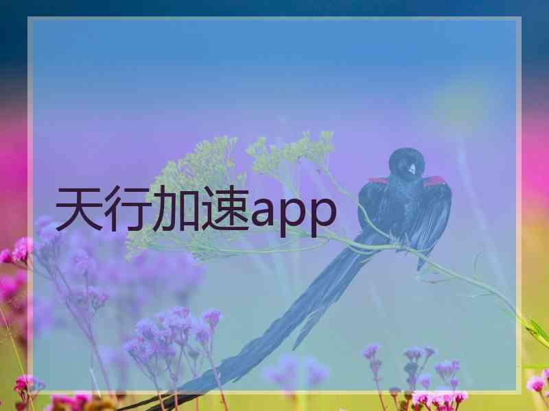 天行加速app