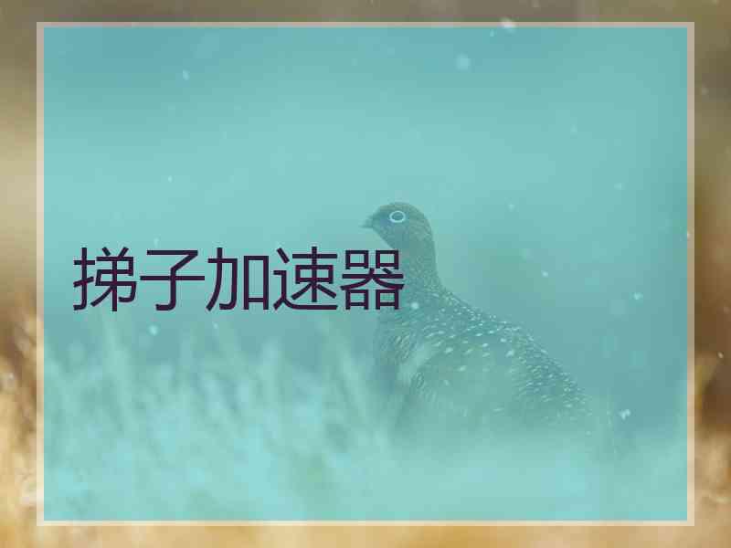 挮子加速器
