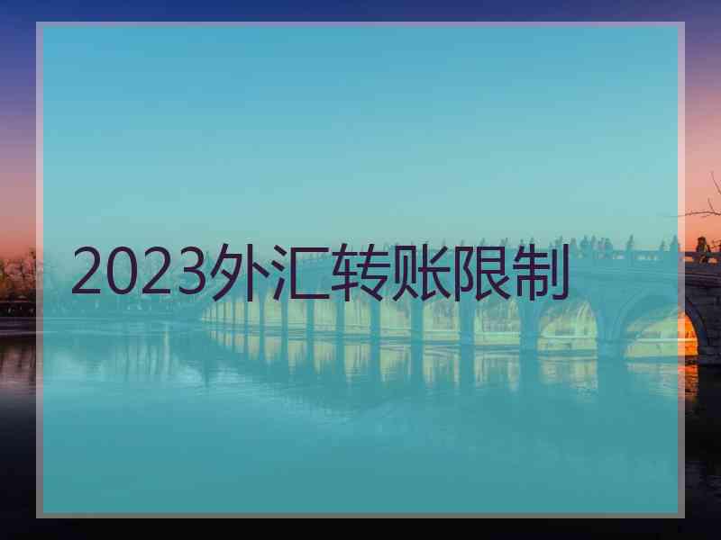 2023外汇转账限制