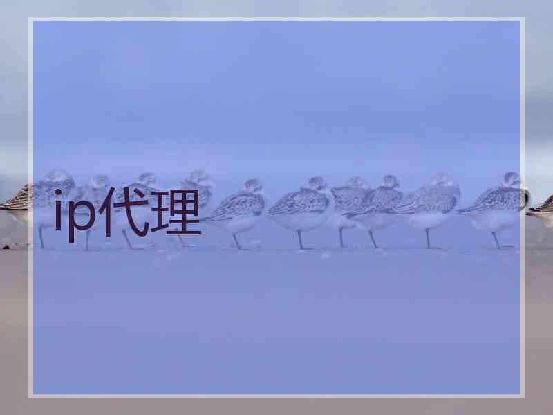 ip代理