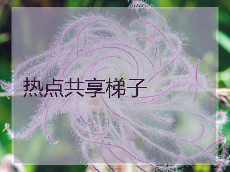 热点共享梯子