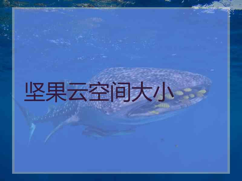坚果云空间大小