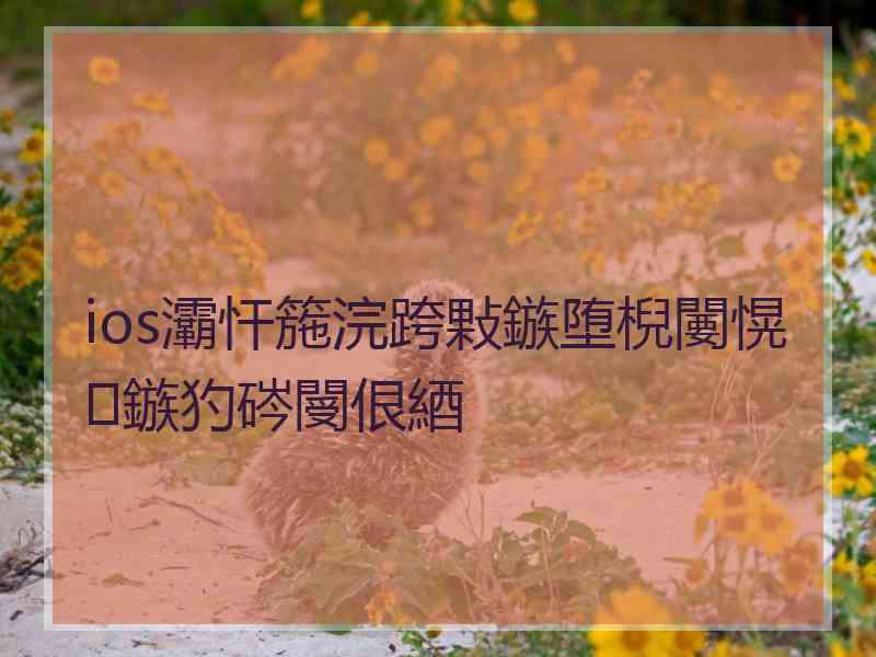 ios灞忓箷浣跨敤鏃堕棿闄愰鏃犳硶閿佷綇