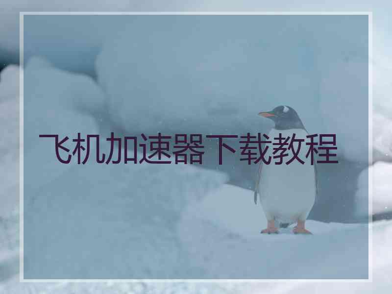 飞机加速器下载教程