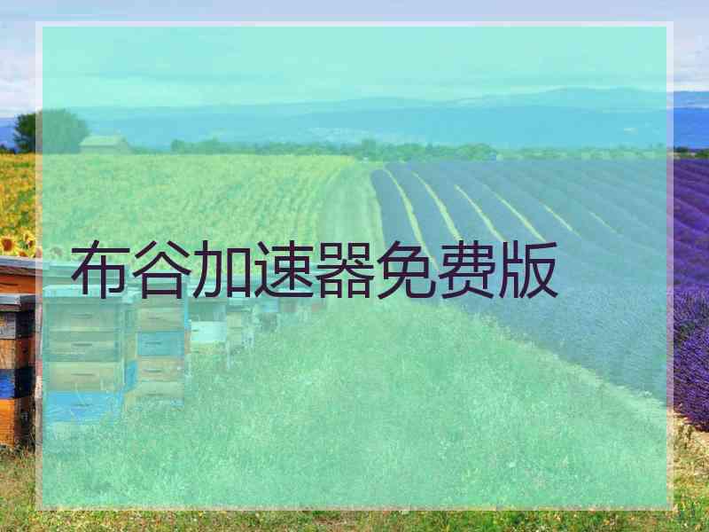 布谷加速器免费版