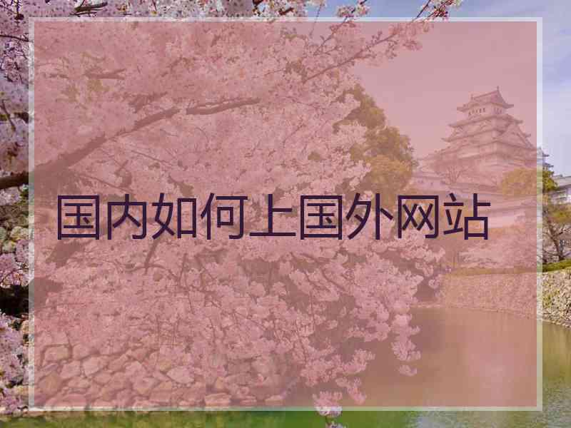 国内如何上国外网站