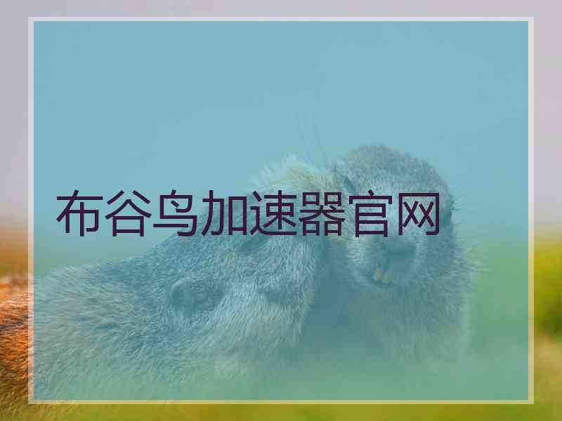 布谷鸟加速器官网