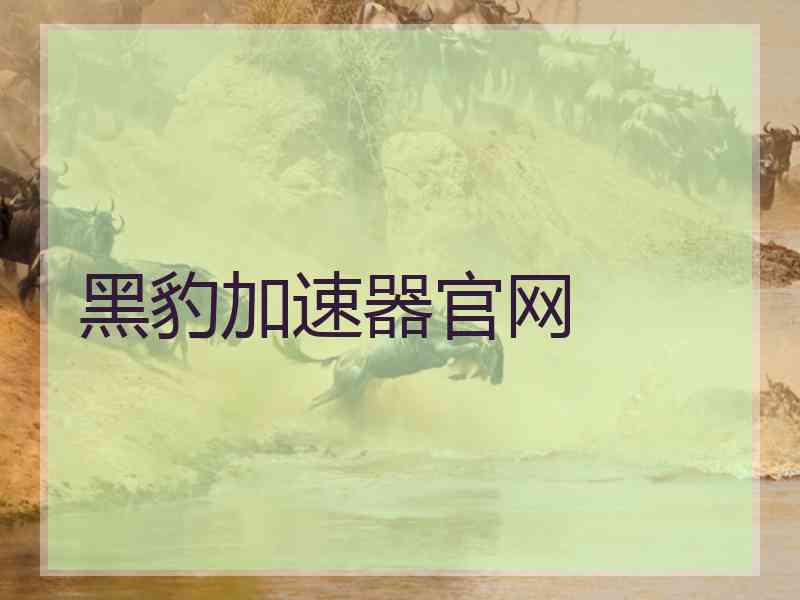黑豹加速器官网