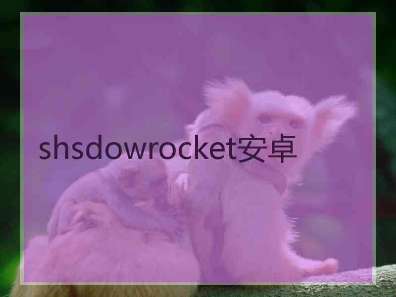 shsdowrocket安卓