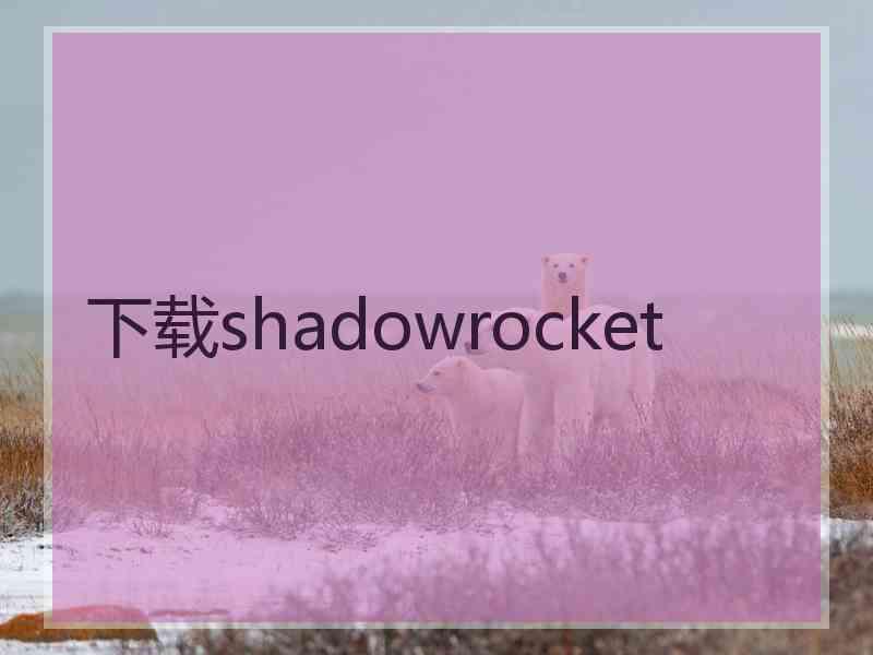 下载shadowrocket