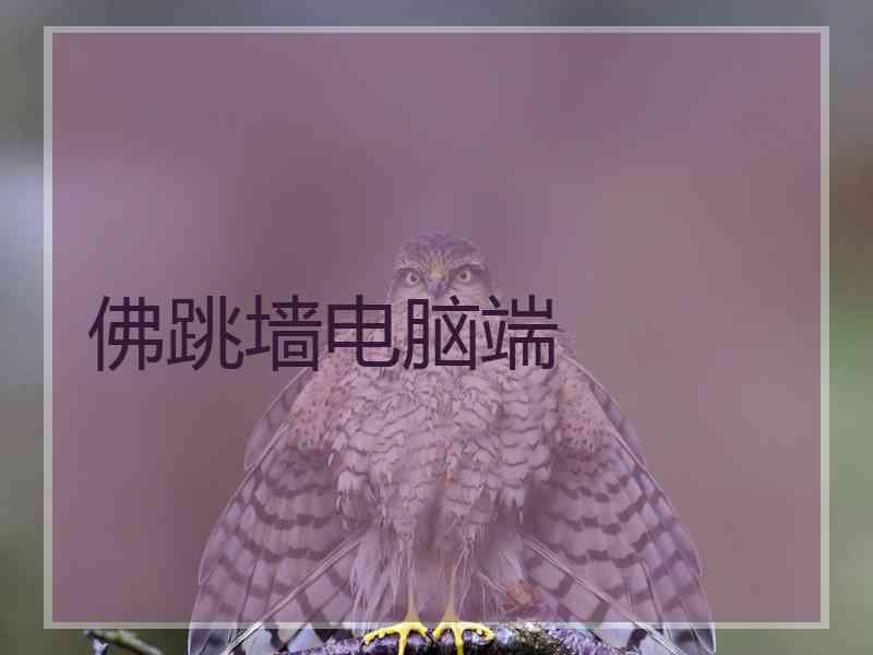 佛跳墙电脑端