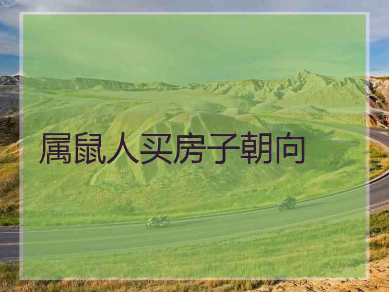 属鼠人买房子朝向