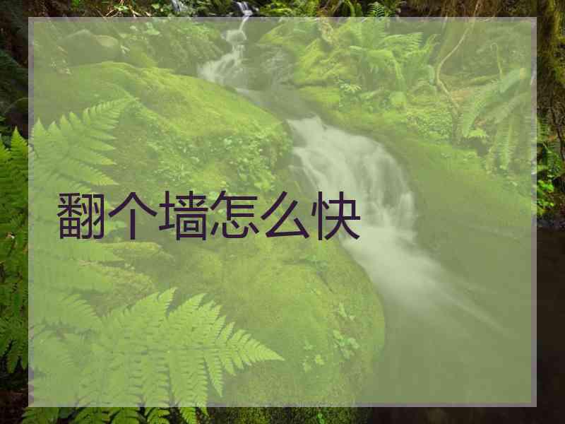 翻个墙怎么快