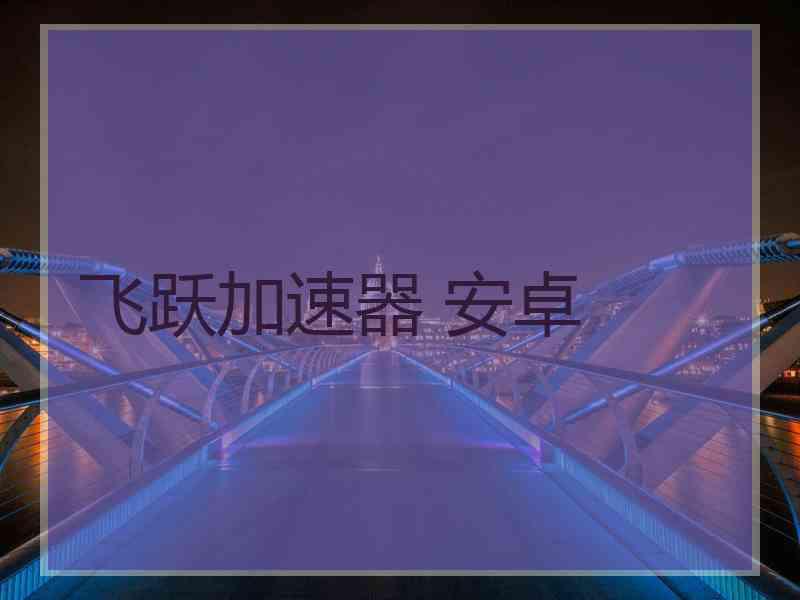 飞跃加速器 安卓